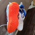DSC CRICKET SHOE. 
