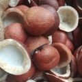 khopra giri best quality  coconut gri nariyal gri. 