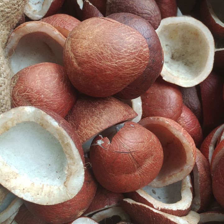 khopra giri best quality  coconut gri nariyal gri