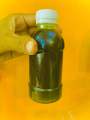 Olive Oil Extra virgin/Pure olive oil For Eating /organic olive oil/zaitoon ka tail Khaney wala. 