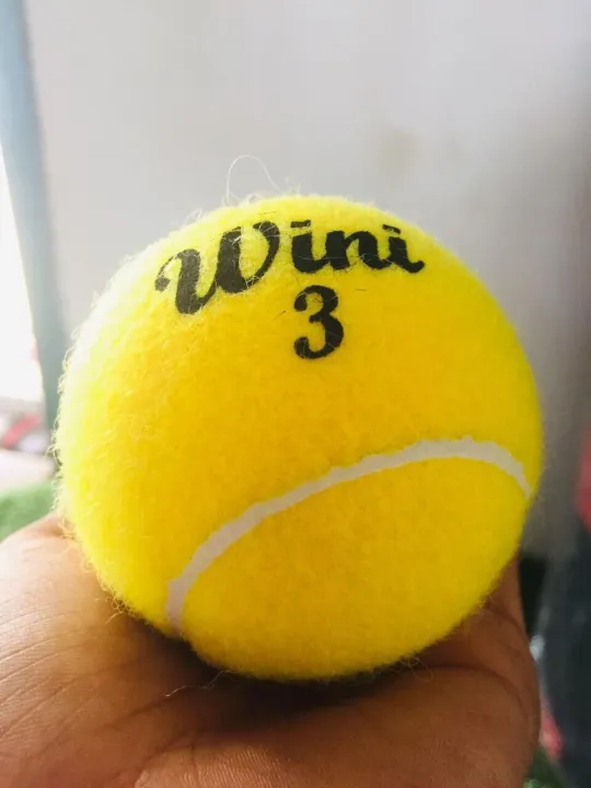 Cricket Ball Wini ( 1 Ball )
