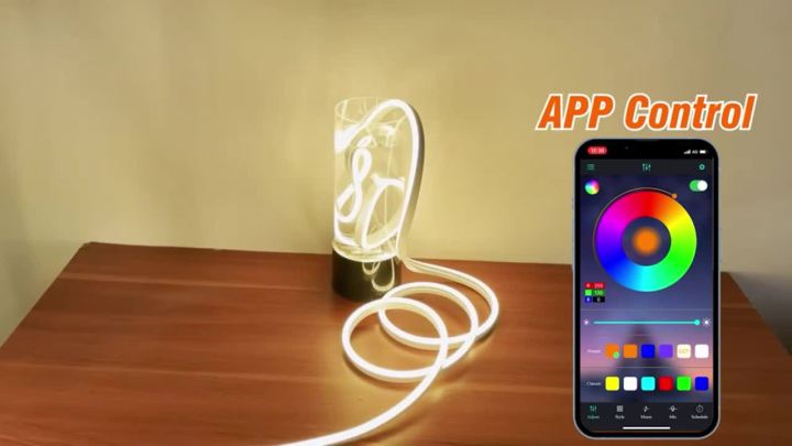 24v Rope Rgb Controller DC24V RGB LED Neon Rope Lights Color Change Music Sync App Control 10M ...