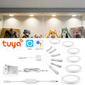 12V Smart Tuya APP Control LED Light Dimmable Voice,Ultra-Thin Stick-on Ceilling Lamp.LED Puck Lights for Cabinet Show Shelf lightify. 