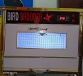 Bird Brooder Best for  Parrot 20 To 25 Automatic temperature with heat and cool system. 