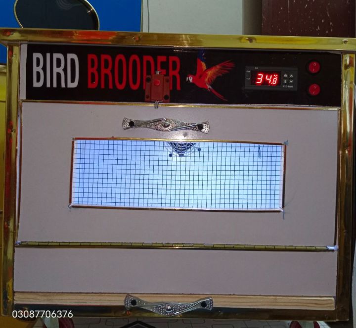 Bird Brooder Best for  Parrot 20 To 25 Automatic temperature with heat and cool system
