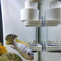 40mm Aquarium Cichlids Hatchery Eggs Instead Mouth Brooding Fish Egg Incubator. 