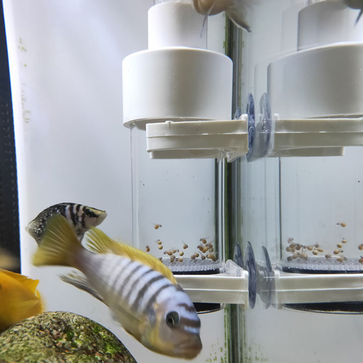 40mm%20Aquarium%20Cichlids%20Hatchery%20Eggs%20Instead%20Mouth%20Brooding%20Fish%20Egg%20Incubator%20-%20Image%206