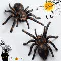 2 Pieces of Simulated Spider Models | Decorative Ornaments | Teaching Props | Birthday Anniversary Party Holiday  | Halloween, , Hanukkah, Easter, Day of the Dead, Winter  | Holiday Atmosphere Decorations. 