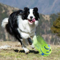 Dog Toy Wobble Wag Giggle Ball Getting Dog Attention Toy Fun Giggle Sounds When Rolled or Shaken Pets Know Best As Seen On TV.