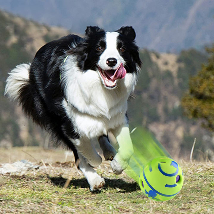Dog%20Toy%20Wobble%20Wag%20Giggle%20Ball%20Getting%20Dog%20Attention%20Toy%20Fun%20Giggle%20Sounds%20When%20Rolled%20or%20Shaken%20Pets%20Know%20Best%20As%20Seen%20On%20TV%20-%20Image%204