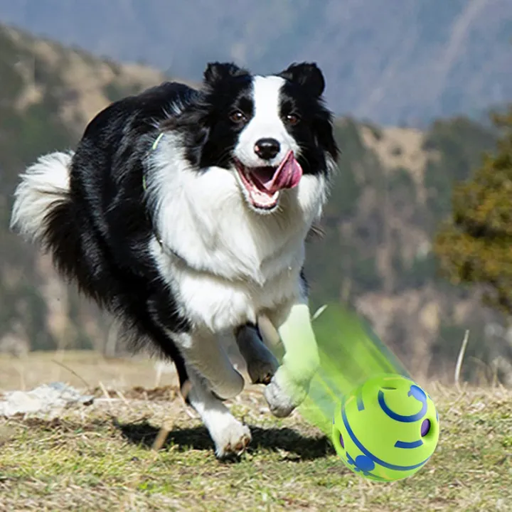 Dog%20Toy%20Wobble%20Wag%20Giggle%20Ball%20Getting%20Dog%20Attention%20Toy%20Fun%20Giggle%20Sounds%20When%20Rolled%20or%20Shaken%20Pets%20Know%20Best%20As%20Seen%20On%20TV%20-%20Image%204