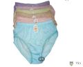 Refine Ladies Panty 12 Pcs. 