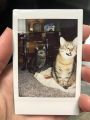 Polaroid picture (Pack of 9) Aesthetic wallpaper white picture. 