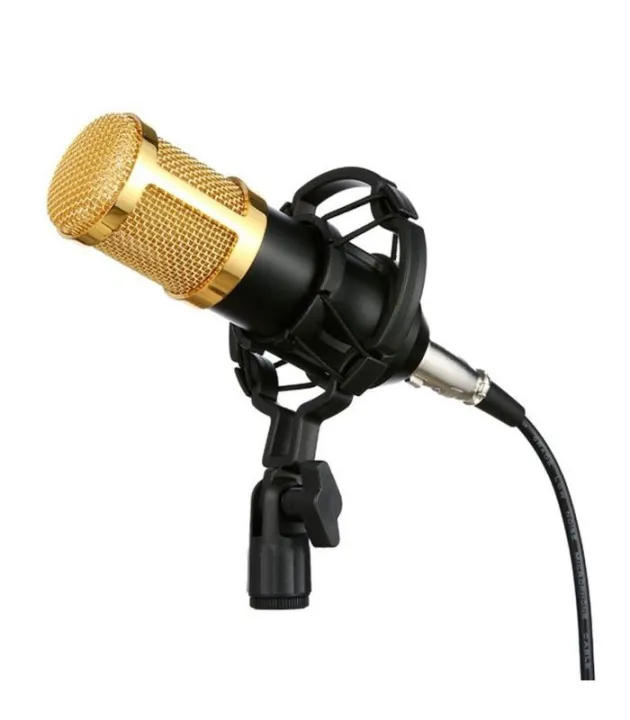 Professional%20Recording%20Microphone%20-%20Image%202