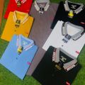 Pk Cotton Polo Shirts In different Colurs Available. 
