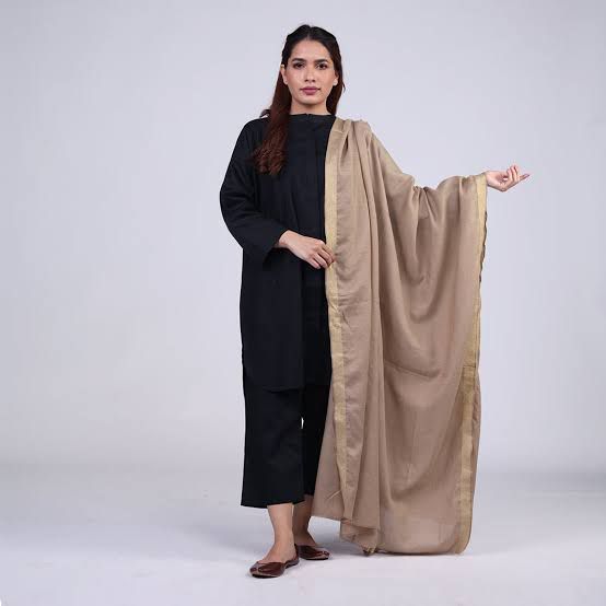 Pashmina%20Shawl%20At%20grand%20sale%20price%20-%20Image%203
