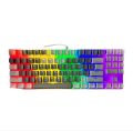 87 Key Wired RGB Mechanical Gaming Keyboard With Blue Switch | Compact Key 80% Mechanical | Color White And Grey/Black. 