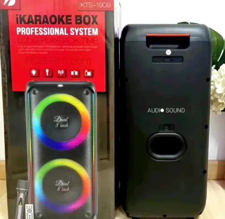 Kts-1909%20Dual%208%20Inch%20Karaoke%20Subwoofer%20Bt%205.0%20Dj%20Good%20Sound%20Speaker%20with%20Wireless%20Microphone%20Portable%20Bass%20Rgb%20Light%20Speaker%20-%20Image%203