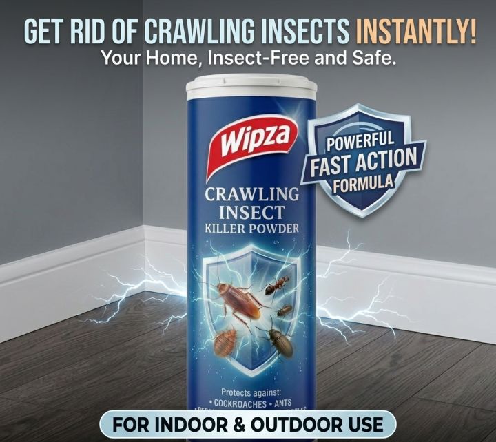caterease - big flavor, big dill. 🦐🌿 these... (Pack of 2) Wipza Crawling Insect Killing Powder🪳🦗🪲🐜 (Approx 125.gms ...