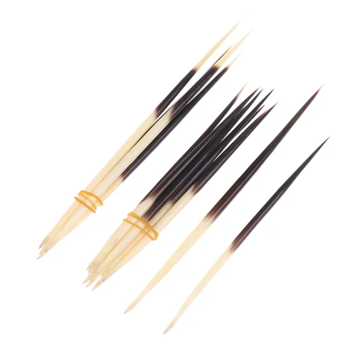 Hot%20Sale%20Porcupine%20Quills%20Hair%20Stick%20Fishing%20Buoy%20DIY%20Natural%20Bone%20Jewelry%20Hairpin%20Indian%20Crafts%20Accessories%20-%20Image%204