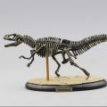 Jurassic World Brachiosaurus Skeleton PVC Assembly Dinosaur Toys Model Action Figures Best Kids Toys Educational.