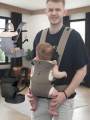 1Pc Baby Carrier, Multifunctional Front and Back Dual-Use Baby Carrier, Adjustable and Comfortable Front Strap-Back Strap, Washable-Machine Washable, Lightweight for Holding Baby All Seasons, Freeing Mom's Hands, a Handy Tool for Carrying Baby When Goi....