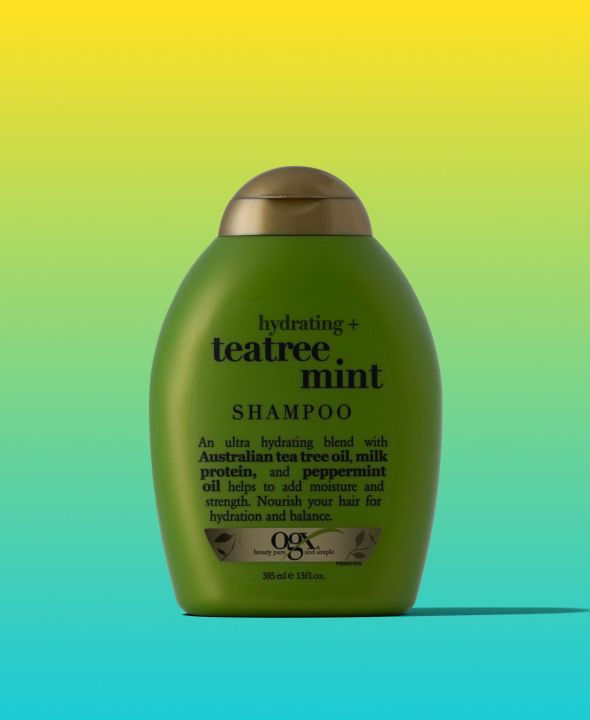 International European Product OGX Hydrating + Teatree Mint Shampoo 13 floz