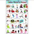 Sticker sheet Action words and senses. 