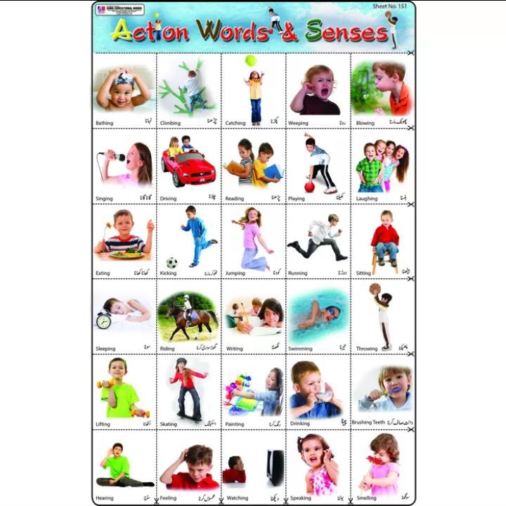Sticker sheet Action words and senses