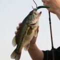 9KM 200~210Pcs Wacky Worm O'Rings for Wacky Rigging Senkos Soft Plastic Worms Stickbaits, Silicone Bait Saver O-Rings. 