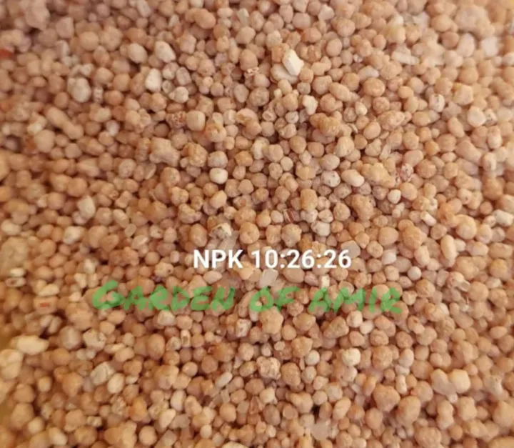 NPK%C2%A0%20Fertilizer%2010%2026%2026%20Plant%20Food%20for%20all%20purposes%C2%A0%20REPACK%2050%20gm%20Water%20Soluble%20Fertilizer%20For%20Plant%20VEGETABLES%20FLOWER%20HYDROPONICS%20and%20FRUITS%C2%A0%20Indian%20npk%20-%20Image%208