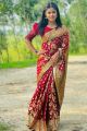 Most Popular Soft Pure Katan Saree For Women.Best Stylish Saree Comfortable Wear -Regular Use Saree-Any Occasion Saree Colour Garanty-All Over Work By Suta.