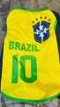 Argentina Brazil 2026 world cup cat jersey. 