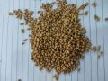 Natural Whole Moth Beans 1000gm. 