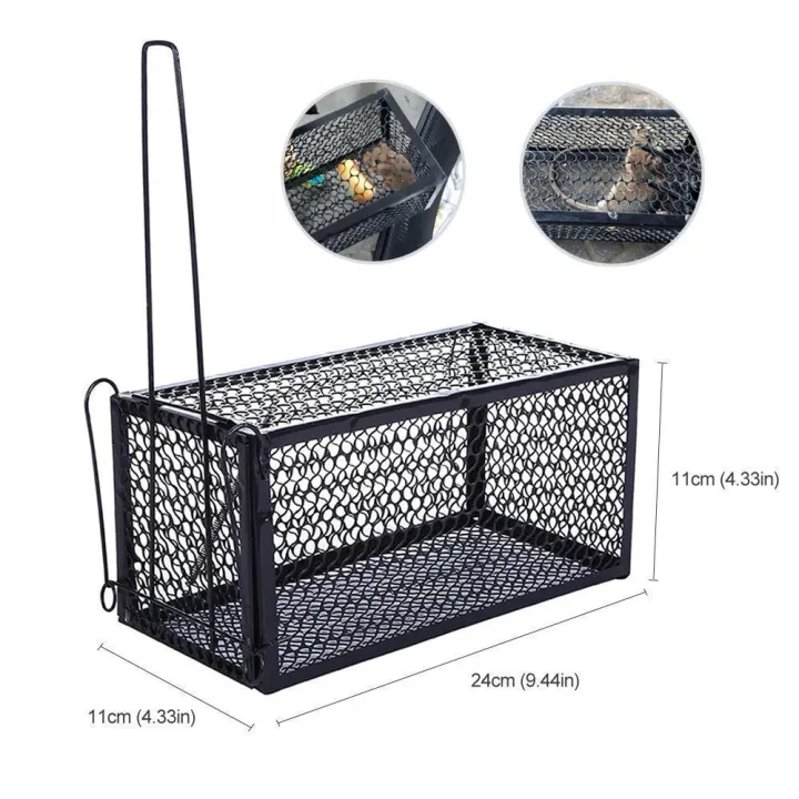 mouse%20trap%20-%20Image%203