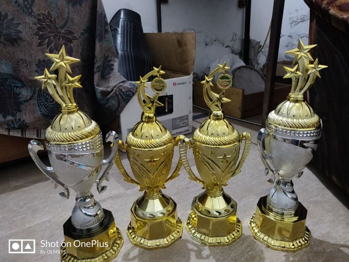 gold%20and%20silver%20plastic%20trophy%2055cm%20-%20Image%204