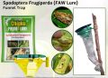 Pheromone funnel trap for insect Fall Army Worm lure & trap for Maze/corn crop (spodoptera frugiperda). 