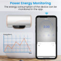 LoraTap Tuya Smart Life EU 20A Boiler Switch Energy Consumption Monitoring Voice Control by  Home Alexa. 