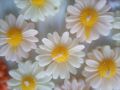 Cute Daisy Flower Scented Candle for Home Decor, Bridal Shower, Baby Shower, and Gifts, Refreshing Aroma, Paraffin Wax, Customizable Design. 