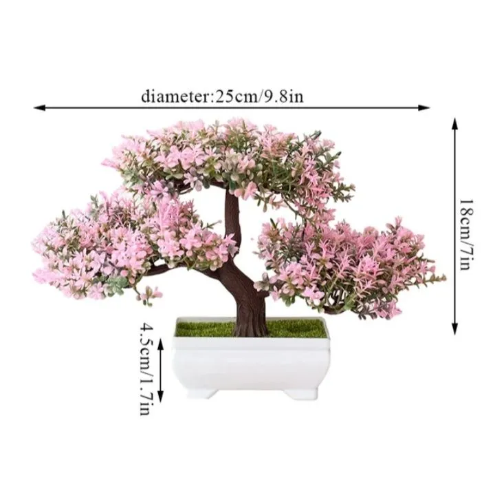 Bonsai%20tree%20-%20Image%204