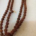 Rudraksha beed mala natural nut good for body. 