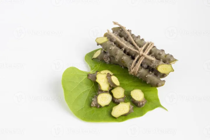 Guduchi%20Giloya%20Gurjo%20Powder%201kg%20-%20Image%202
