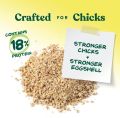 Chick Feed Crumble for Young Chickens

500Gram. 