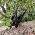 Ac strange sound Death whistle Crow head shape horror scream whistle. 