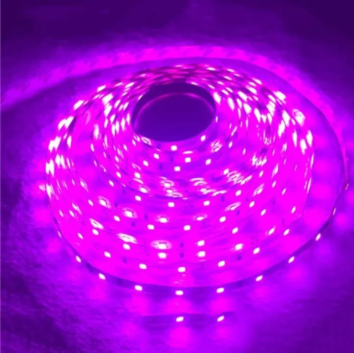 Led%20Rope%20Light%20stripe%205%20meters%20with%20adapter%20-%20Image%204