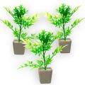 Pack of 3 Mini Plant Artificial Decoration Piece with pot Best for home & Office Decoration purpose. 