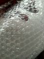 Bubble Wrap | Packaging Material | Single Side Bubble 3mm Bubble Size | Width 43 Inch Premium Quality
/ 02
Meter / 03 Meter / 05 Meter / 10 Meter / With Vexora Packaging. 