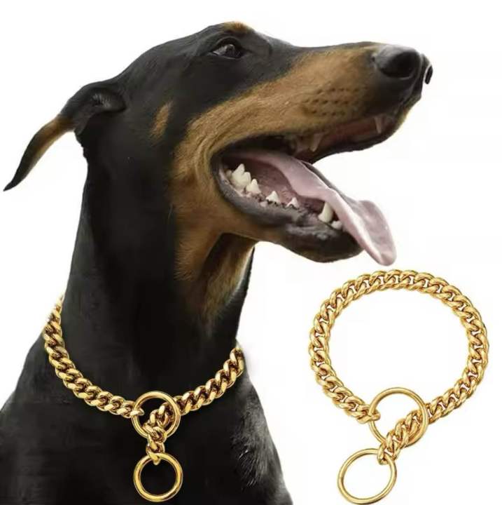 Gold Dog Chain, Stainless Steel Dog Collar Choker, Luxury Designer, Walking and Traning Metal Necklace for Small and Medium Dogs