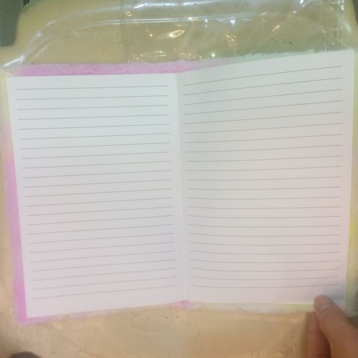 fancy%20diary%20-%20Image%205