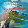 AUTO AIR CONDITIONER CLEANER (450 ml.) Eliminates Bacteria, Germs, Odours & Mould. 